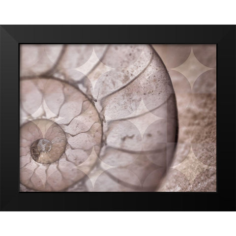 La Concha I Black Modern Wood Framed Art Print by Bartola