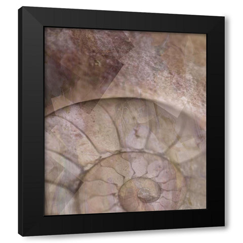 La Concha II Marsala Black Modern Wood Framed Art Print with Double Matting by Bartola