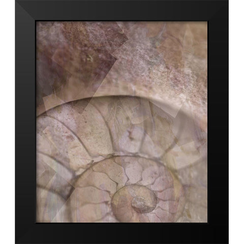 La Concha II Marsala Black Modern Wood Framed Art Print by Bartola