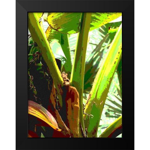 Banana II Black Modern Wood Framed Art Print by Franklin
