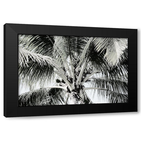 Neutral Palm I Black Modern Wood Framed Art Print by Franklin