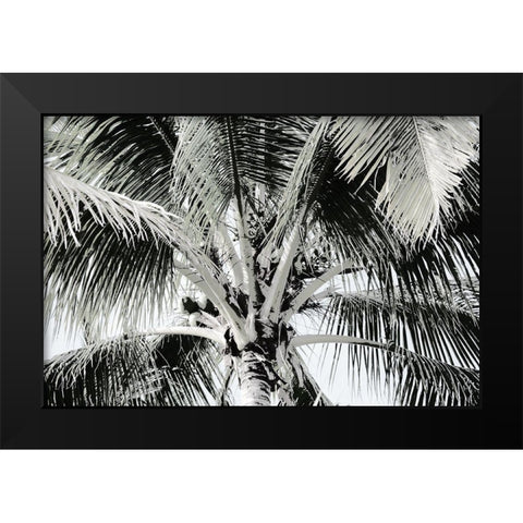 Neutral Palm I Black Modern Wood Framed Art Print by Franklin