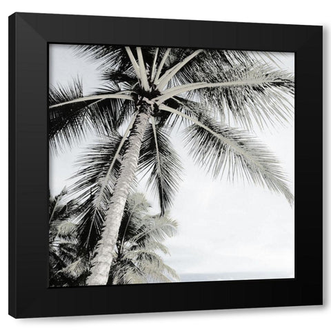 Neutral Palm II Black Modern Wood Framed Art Print with Double Matting by Franklin