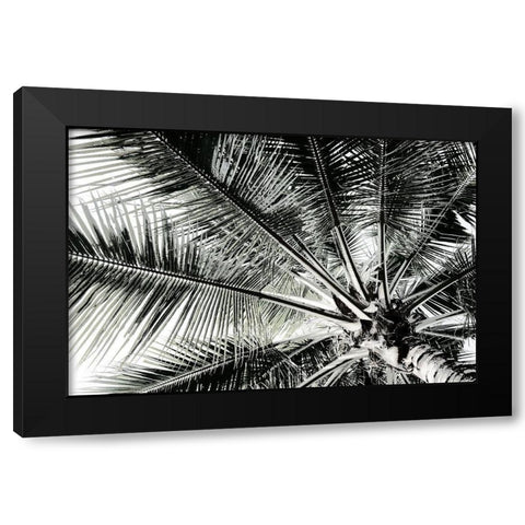 Neutral Palm III Black Modern Wood Framed Art Print by Franklin