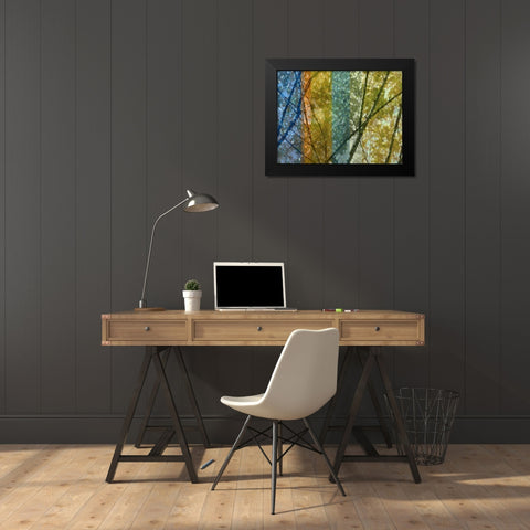 Rainbow Canopy Black Modern Wood Framed Art Print by Franklin