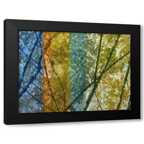 Rainbow Canopy Black Modern Wood Framed Art Print with Double Matting by Franklin