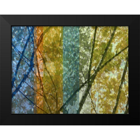 Rainbow Canopy Black Modern Wood Framed Art Print by Franklin