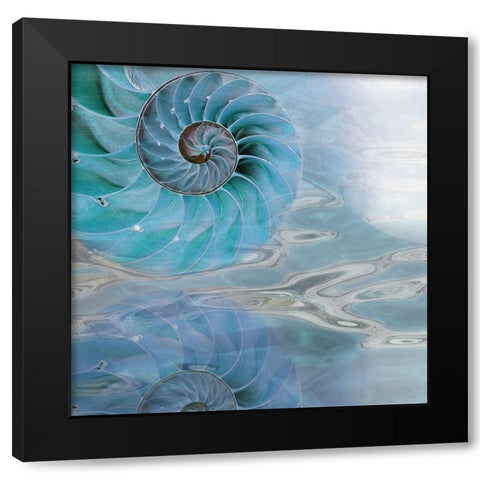 Nautilus Reflection I Black Modern Wood Framed Art Print with Double Matting by Franklin