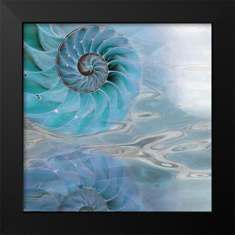 Nautilus Reflection I Black Modern Wood Framed Art Print by Franklin