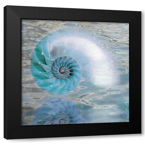Nautilus Reflection II Black Modern Wood Framed Art Print with Double Matting by Franklin