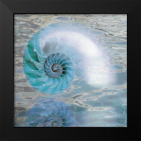 Nautilus Reflection II Black Modern Wood Framed Art Print by Franklin