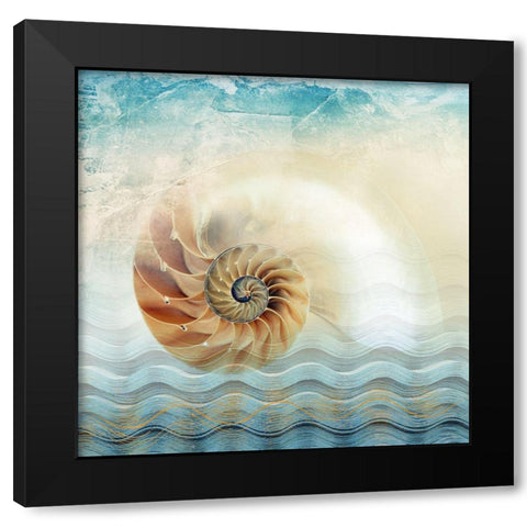 Nautilus Black Modern Wood Framed Art Print with Double Matting by Franklin
