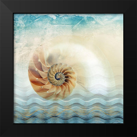 Nautilus Black Modern Wood Framed Art Print by Franklin
