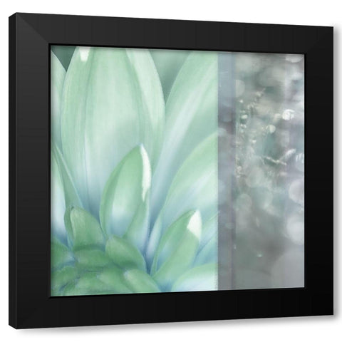 Morning Mist Square Black Modern Wood Framed Art Print with Double Matting by Franklin