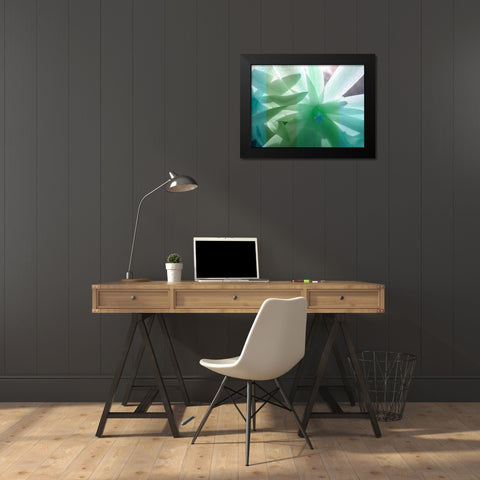 Floral Shadow Black Modern Wood Framed Art Print by Franklin