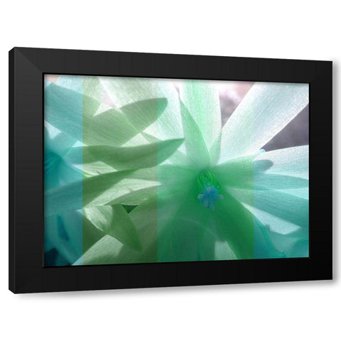 Floral Shadow Black Modern Wood Framed Art Print with Double Matting by Franklin