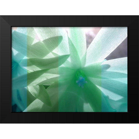 Floral Shadow Black Modern Wood Framed Art Print by Franklin