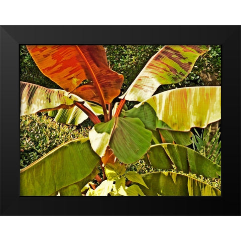 Banana Tree Black Modern Wood Framed Art Print by Simons