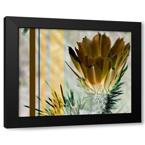 Desert Flower Black Modern Wood Framed Art Print with Double Matting by Simons