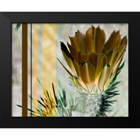 Desert Flower Black Modern Wood Framed Art Print by Simons
