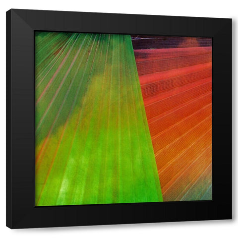 Fondly II Black Modern Wood Framed Art Print with Double Matting by Simons