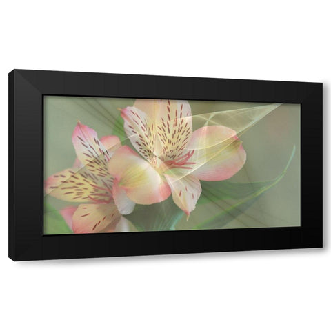 Illusion in Yellow Black Modern Wood Framed Art Print with Double Matting by Simons