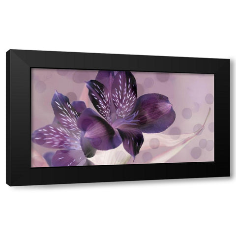 Misty in Lavender Black Modern Wood Framed Art Print with Double Matting by Simons