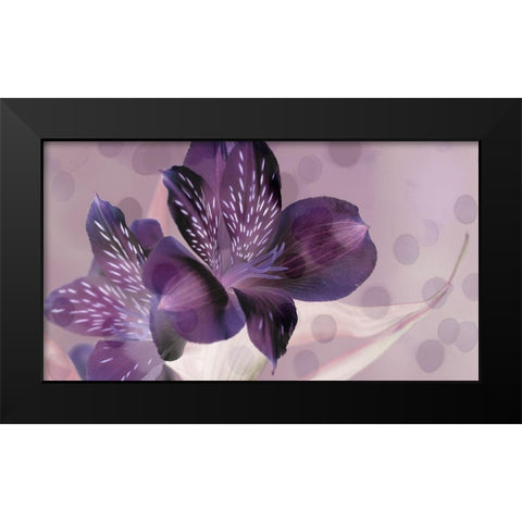 Misty in Lavender Black Modern Wood Framed Art Print by Simons