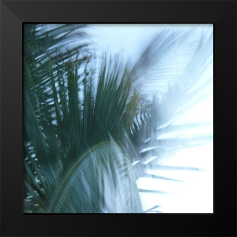 Misty Palm Black Modern Wood Framed Art Print by Simons