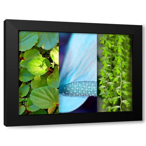 Nature in Azure II Black Modern Wood Framed Art Print with Double Matting by Simons