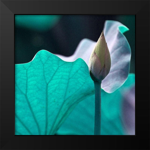 Renu Black Modern Wood Framed Art Print by Simons