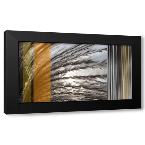 Sunlit Amber II Black Modern Wood Framed Art Print by Simons