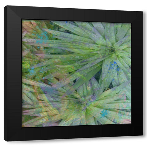 Syan II Black Modern Wood Framed Art Print by Simons