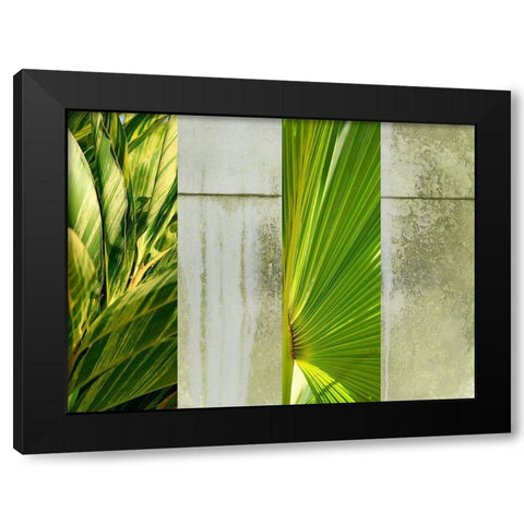 Up Against the Wall Black Modern Wood Framed Art Print with Double Matting by Simons