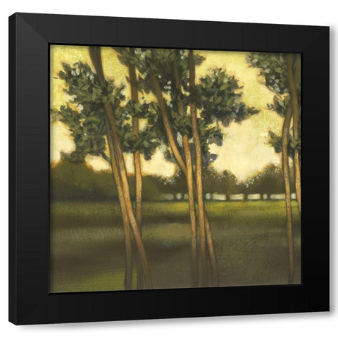 Through the Trees I Black Modern Wood Framed Art Print by Larson