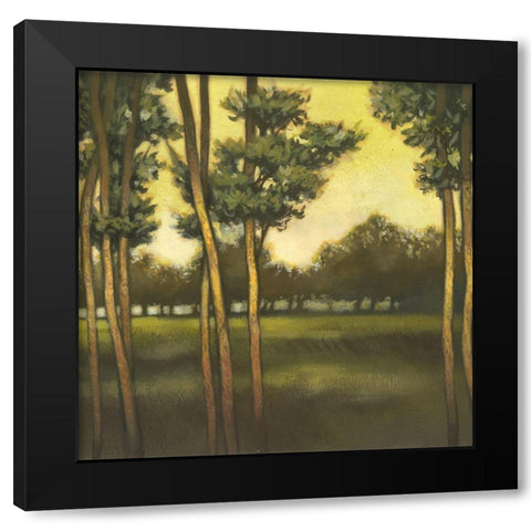 Through the Trees II Black Modern Wood Framed Art Print with Double Matting by Larson