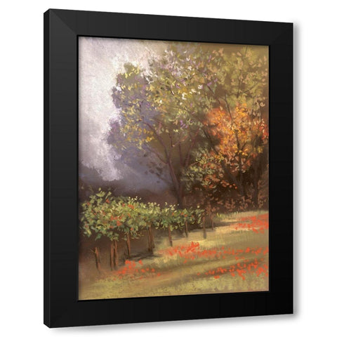 A Day In The Country II Black Modern Wood Framed Art Print with Double Matting by Ricci