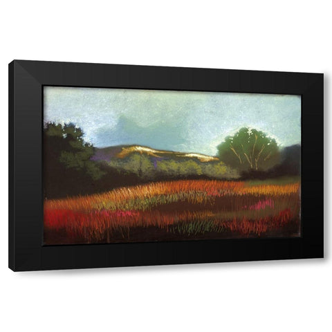 Summer Valley I Black Modern Wood Framed Art Print with Double Matting by Ricci