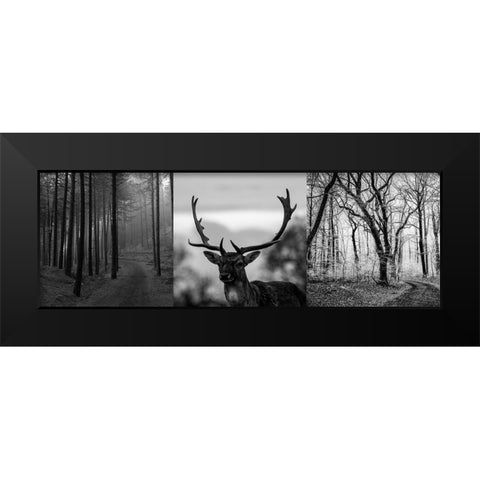 Nature Blend Black Modern Wood Framed Art Print by Phillip, Jamie