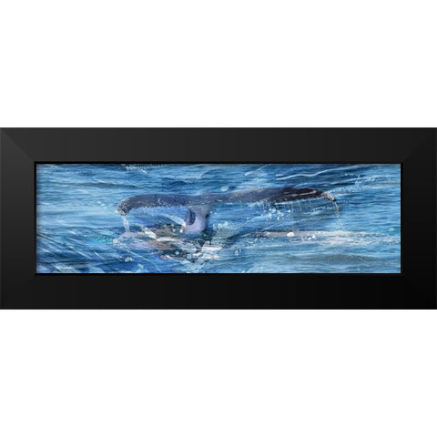 Whale Tail Black Modern Wood Framed Art Print by Phillip, Jamie