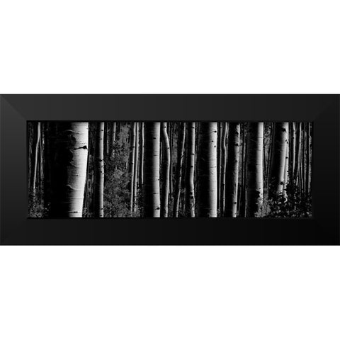Love Tree 2 Black Modern Wood Framed Art Print by Phillip, Jamie