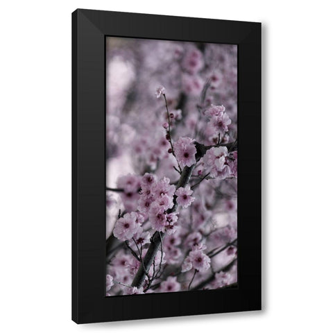 Beautiful Pink 2 Black Modern Wood Framed Art Print with Double Matting by Phillip, Jamie