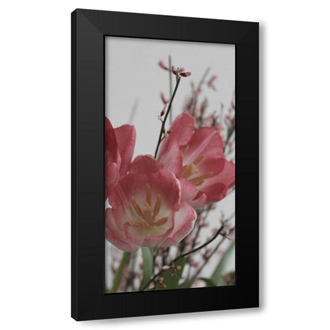 Planet tulip Black Modern Wood Framed Art Print by Phillip, Jamie