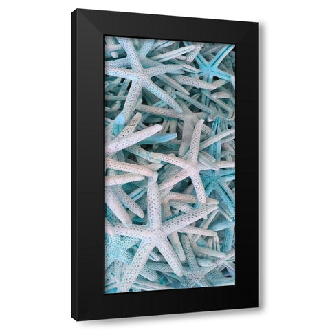 Beach Star  Black Modern Wood Framed Art Print with Double Matting by Phillip, Jamie