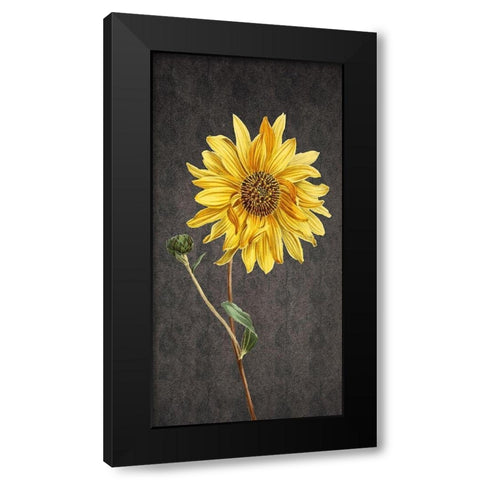 Botanic Black Modern Wood Framed Art Print by Phillip, Jamie