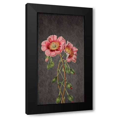 Garden Black Modern Wood Framed Art Print with Double Matting by Phillip, Jamie