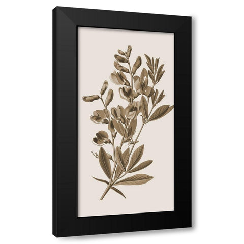 Toned Botanical 2 Black Modern Wood Framed Art Print by Phillip, Jamie