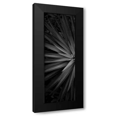 Lush 1 Black Modern Wood Framed Art Print by Phillip, Jamie