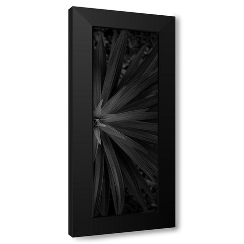 Lush 2 Black Modern Wood Framed Art Print by Phillip, Jamie