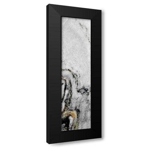 Golden 2 Black Modern Wood Framed Art Print with Double Matting by Phillip, Jamie
